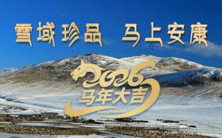 雪域高原藏珍品，2026愿您馬上安康——來自西藏那曲蟲草網(wǎng)的新春祝福