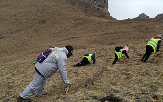 深耕那曲雪域，甄選正宗好草——2026那曲冬蟲夏草優(yōu)質(zhì)品牌盤點(diǎn)